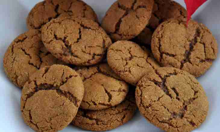 The recipe of gingersnap for New year